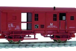 مقتل شخص صدمه قطار بالتلاغمة في‮ ‬ميلة