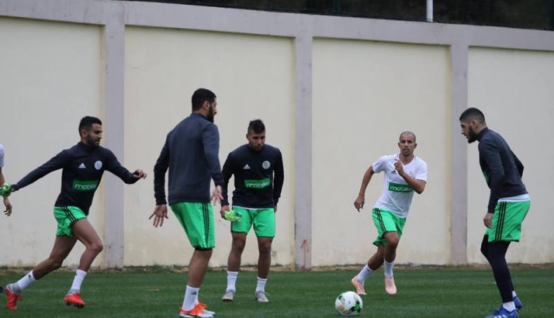 بالصور.. الخضر يجرون ثاني حصة تدريبية قبل لقاء البنين