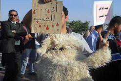 معارض أردني يتنكر بزي خروف اعتراضاً على الغلاء