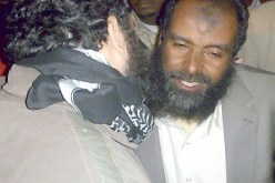 واشنطن تحقق في دخول نائب مصري إسلامي أراضيها