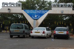 نجل وزير سابق في فضيحة فساد جديدة