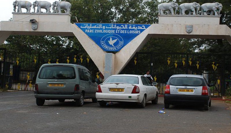 نجل وزير سابق في فضيحة فساد جديدة