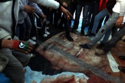 القذافي والمحرقة القبلية