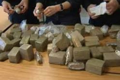 حجز أزيد من 10 قناطير من الكيف المعالج بمغنية قادمة من المغرب