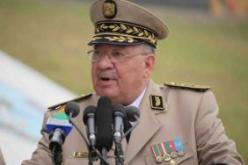 الفريق قايد صالح يؤكد عزم الجيش على حماية حدود الوطن والقضاء على بقايا الإرهاب