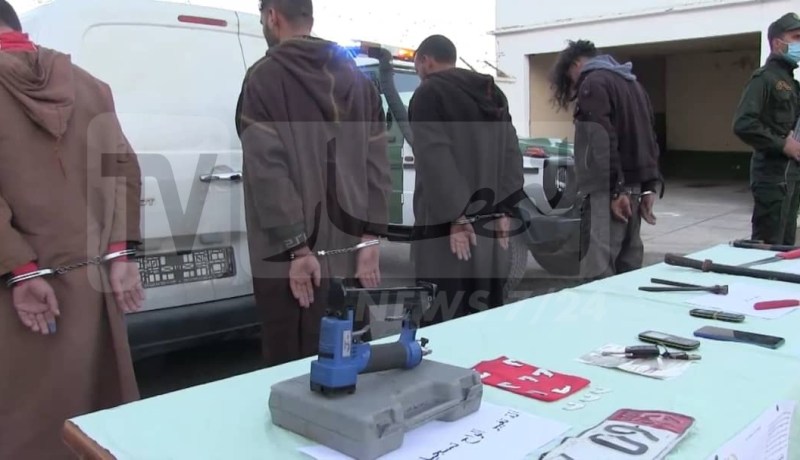سطيف.. تفكيك جماعة أشرار مختصة في سرقة المواشي