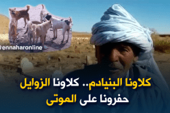 مواطنو البيض يستنجدون.. احموا موتانا من الكلاب