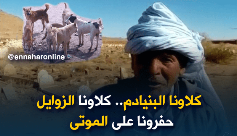 مواطنو البيض يستنجدون.. احموا موتانا من الكلاب