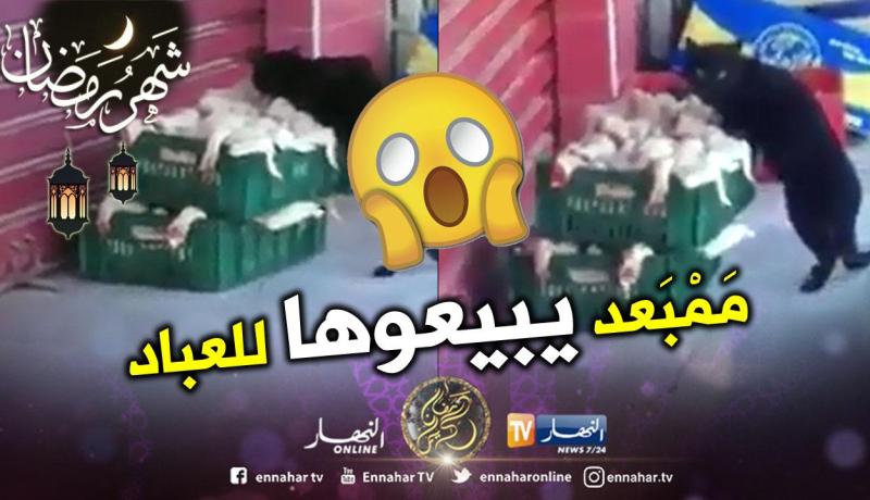 بالفيديو .. هذه نهاية لامبالاة التجار وانعدام المسؤولية عند الموزعين