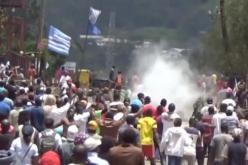 سفرية الخضر إلى الكاميرون تحت أنظار “بوكو حرام”