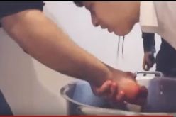 بالفيديو سعودي يذبح ابنه لحسن كرم ضيافة أصدقائه