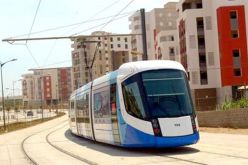 سقوط شجرة على الخط الكهربائي تسبب توقف جزئي للترامواي في درقانة