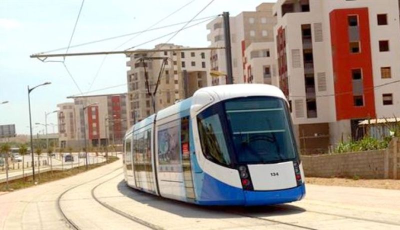 سقوط شجرة على الخط الكهربائي تسبب توقف جزئي للترامواي في درقانة