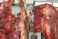 حجز 100 كغ من اللحوم الحمراء الفاسدة في الجلفة