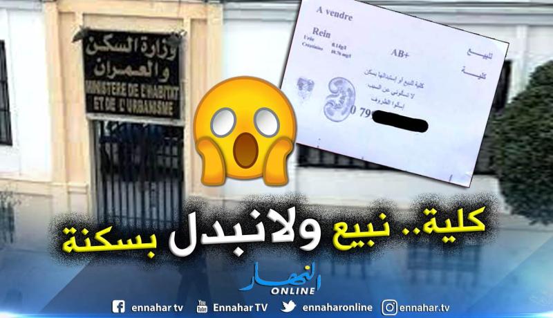مواطن من البليدة يعرض كليته للبيع أو استبدالها بسكن؟!