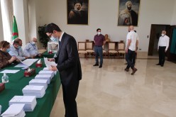 أفراد الجالية بالخارج يؤدون واجبهم الانتخابي