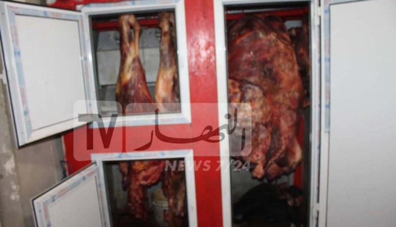 وهران.. ضبط أكثر من 6 قناطير لحوم حمراء فاسدة