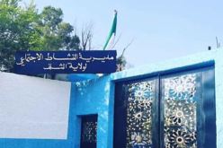 الشلف : السلطات تتكفل بـ 6 حالات تخص أشخاص دون مأوى
