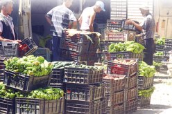 320 مليـار سنتيـــم لإنجـــاز أول ســـوق وطنــي للخضــــر والفواكــــه بالجملــــة