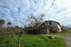 16 ألف عائلة تقطن الأحواش مشـردة في روح وارواح بين مديريتي التعمير والفلاحة