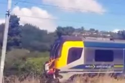 فيديو مثير لشابين يتمسكان بقطار يسير بسرعة 110 كلم