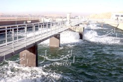 سيال: تحليل المياه مرتين في اليوم صباحا ومساءا