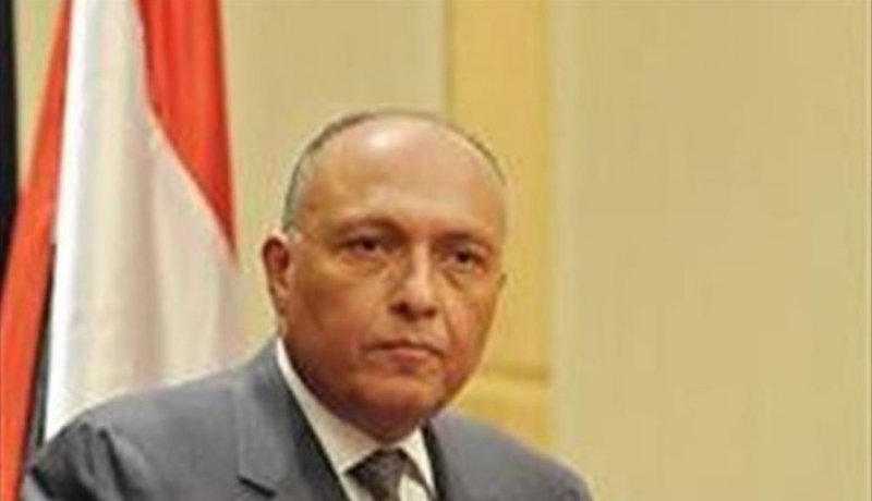 وزير الخارجية المصري يؤكد أن زيارته إلى الجزائر ترمي إلى الدفع بالعلاقات الثنائية إلى مستويات أرقى