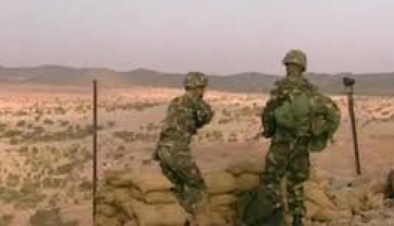 الجيش الوطني يسترجع ثلاثة بنادق وكمية من الذخيرة الحربية ويحجز 314 كغ من الكيف المعالج