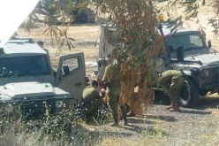 استشهاد فسطينية متأثرة بجراحها