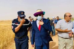 والي بشار يعطي إشارة انطلاق موسم الحصاد