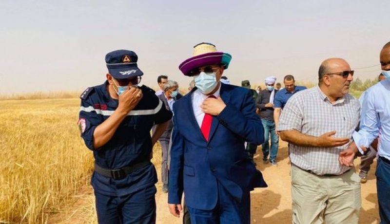 والي بشار يعطي إشارة انطلاق موسم الحصاد