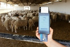 “بريد الجزائر” تزوّد التجار بأجهزة الدفع الإلكتروني.. مجانا