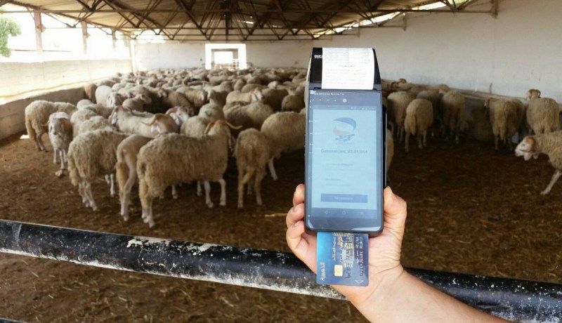 “بريد الجزائر” تزوّد التجار بأجهزة الدفع الإلكتروني.. مجانا