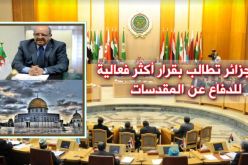 مساهل يبحث الانتهاكات الصهيونية مع وزراء الخارجية العرب