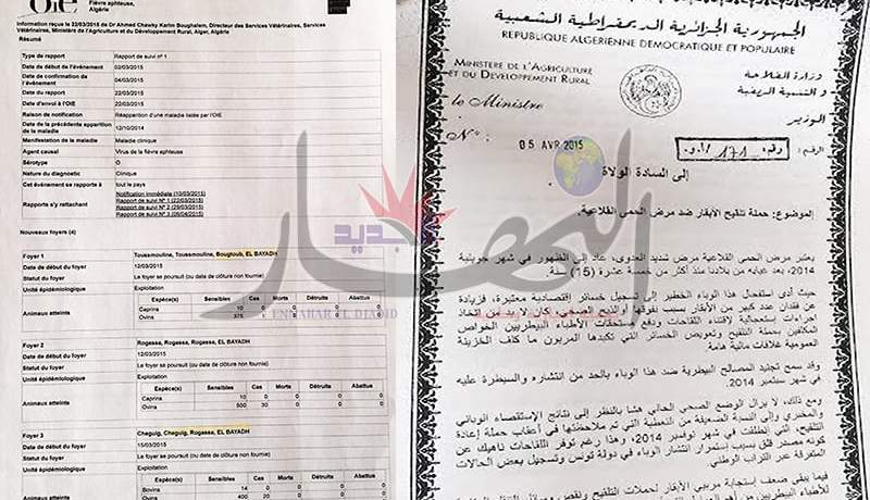 الحمى القلاعية تضرب في 5 ولايات