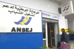 إستحداث أزيد من 700 مؤسسة مصغرة بالجلفة