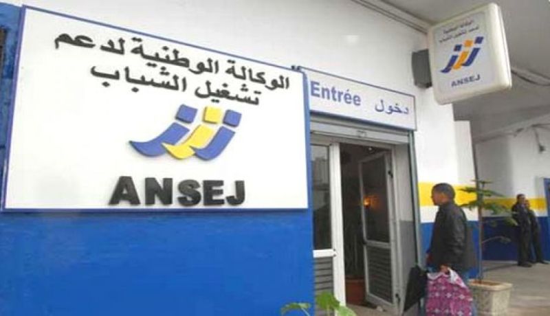 إستحداث أزيد من 700 مؤسسة مصغرة بالجلفة