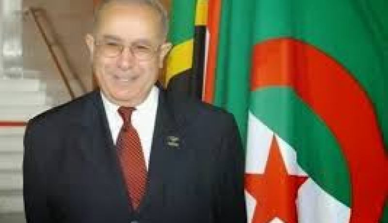 الجزائر تحظى بثقة جميع الأطراف المالية و بدعم إفريقيا