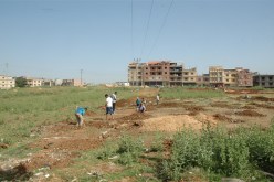 الحكومة تشرع في استرجاع ممتلكاتها