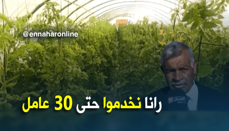 الوادي/ مزارع خاصة..نماذج ناجحة في خدمة الأرض و بمجهودات خاصة