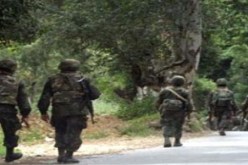 الجيش الوطني الشعبي يقضي على 12 إرهابيا ويسترجع 13 قطعة سلاح وكمية من الذخيرة