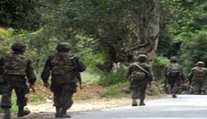 الجيش الوطني الشعبي يقضي على 12 إرهابيا ويسترجع 13 قطعة سلاح وكمية من الذخيرة