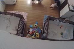 بالفيديو.. لقطات تحبس الأنفاس لطفل ينقذ أخاه