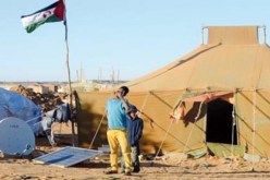 مجلس التضامن البيروفي مع القضية الصحراوية يجدد مساندته للشعب الصحراوي