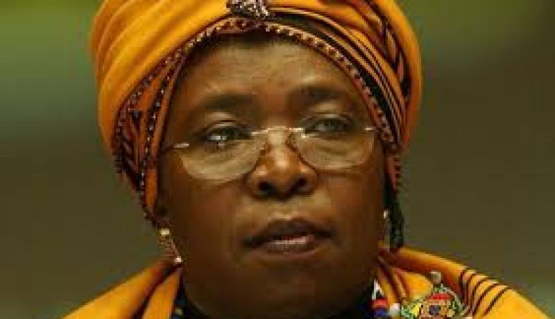 زوما تؤكد إن الاتحاد الإفريقي هو أدرى بحقائق الوضع لتسوية الأزمات في إفريقيا