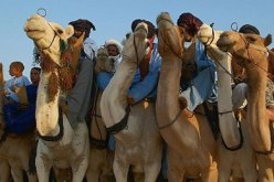 مقتل 30 على الأقل من الطوارق في شمال مالي