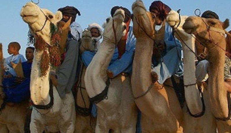 مقتل 30 على الأقل من الطوارق في شمال مالي