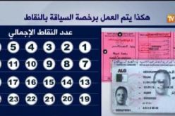 بالفيديو.. هكذا يتم العمل برخصة السياقة بالنقاط وكيف تسحب