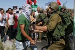 الجزائر تشارك في اجتماع اللجنة الدائمة لفلسطين بمنظمة التعاون الاسلامي