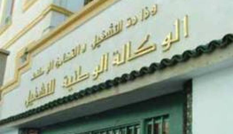 20 ألف مستفيد من منحة إدماج المتحصلين على شهادات تم ترسيمهم في عالم الشغل